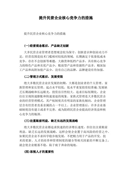 提升民营企业核心竞争力的措施