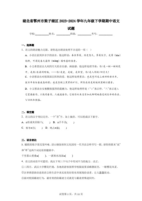 湖北省鄂州市梁子湖区2023-2024学年九年级下学期期中语文试题