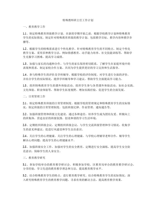 特殊教师班主任工作计划