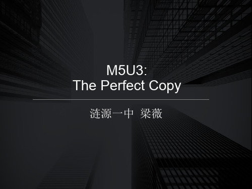 Reading(1)：Theperfectcopy