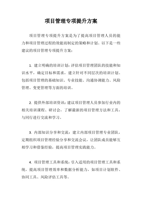 项目管理专项提升方案