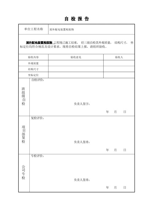 三级自检报告