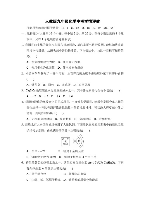 人教版九年级化学中考学情评估 附答案 (5)