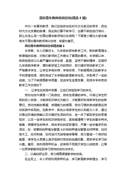 高校青年教师培训总结（精选4篇）