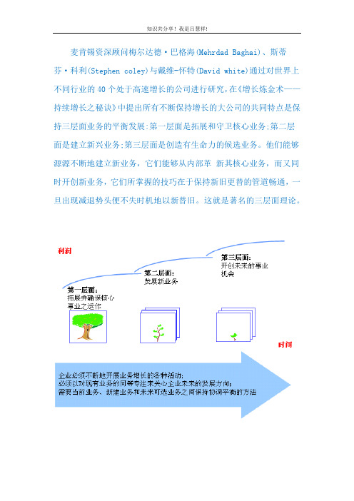 分析工具LV72 麦肯锡三层面理论