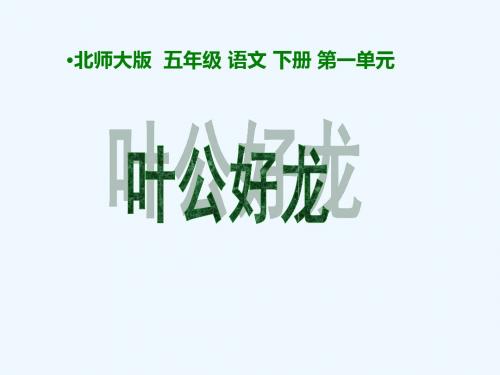 叶公好龙1