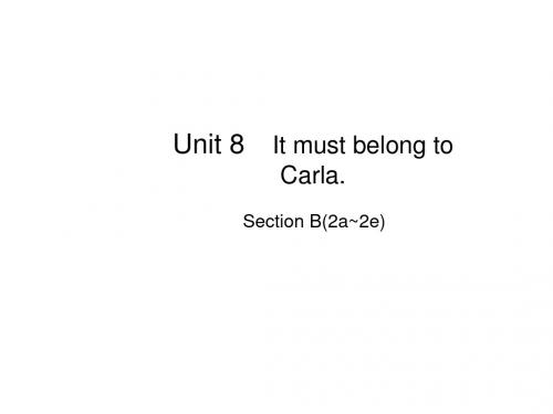 人教版九年级英语全册课件：Unit 8 Section B(2a~2e)