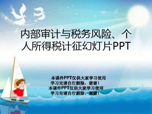 内部审计与税务风险、个人所得税计征幻灯片PPT