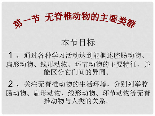 七年级生物上册 第二单元 第二章 第一节 无脊椎动物的主要类群课件 (新版)济南版