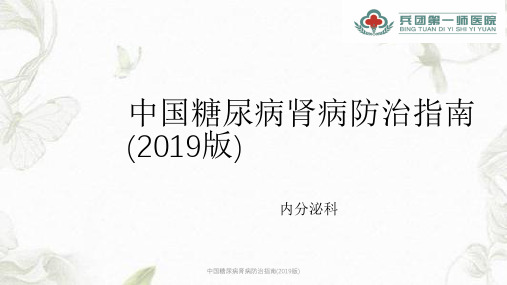 中国糖尿病肾病防治指南(2019版)ppt课件