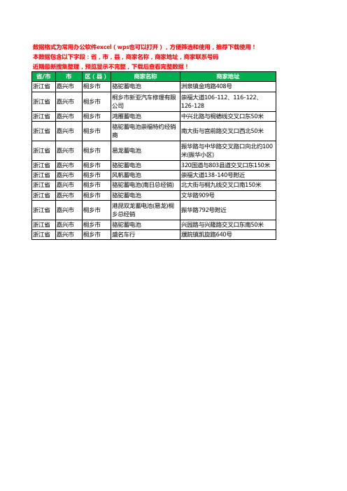 2020新版浙江省嘉兴市桐乡市蓄电池工商企业公司商家名录名单黄页联系电话号码地址大全12家