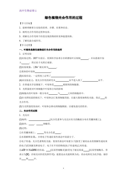 3.2.2绿色植物光合作用的过程学案高一上学期生物苏教版(2019)必修第一册