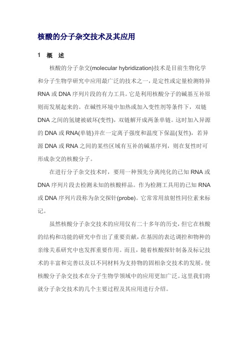 核酸的分子杂交技术及其应用