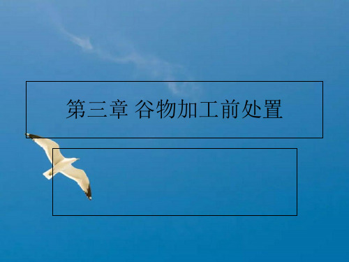 谷物加工前处理(新)ppt课件
