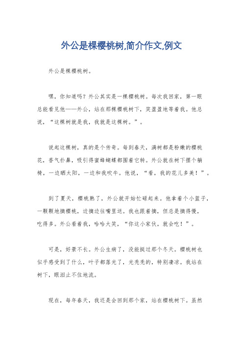 外公是棵樱桃树,简介作文,例文