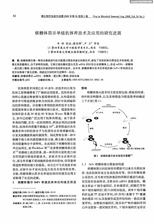 核糖体展示单链抗体库技术及应用的研究进展