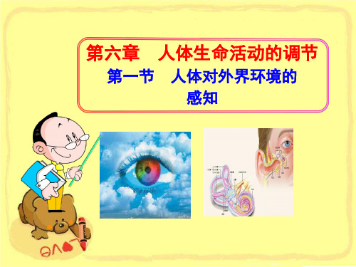人体对外界环境的感知课件PPT
