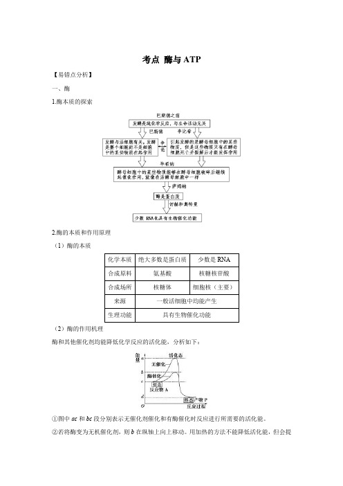 高考生物复习考点：酶与ATP