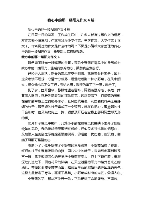 我心中的那一缕阳光作文4篇