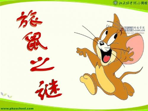 旅鼠之谜2