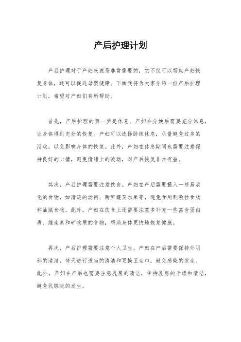 产后护理计划