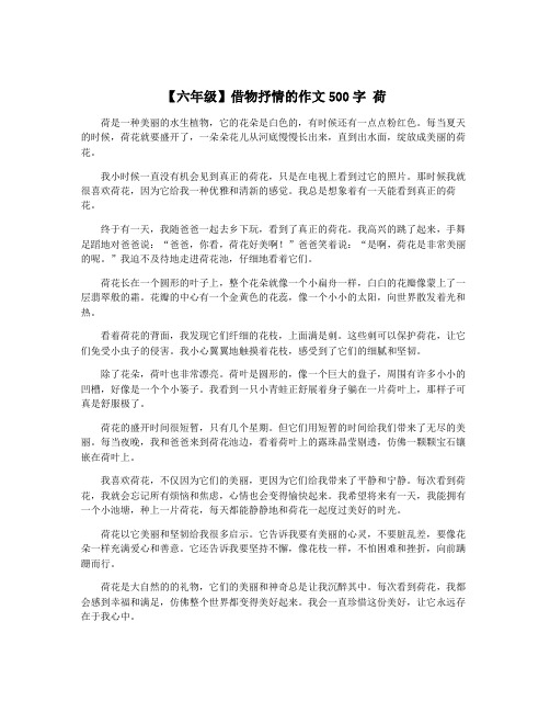 【六年级】借物抒情的作文500字 荷