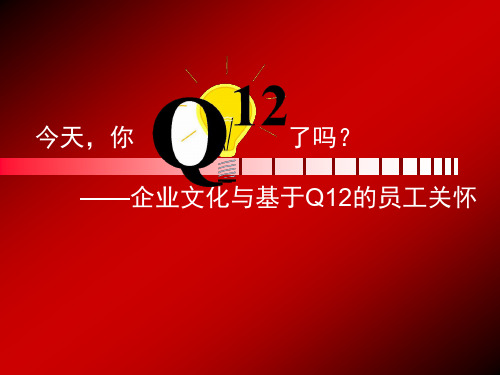 万科物业员工关系——Q12篇(ppt文档)