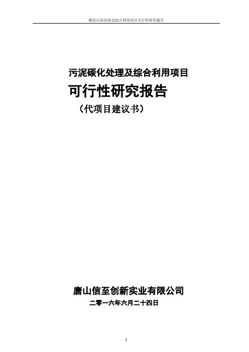 污泥碳化处理及综合利用项目可行性研究工作报告