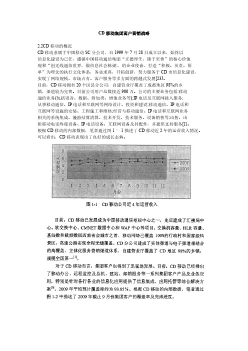 CD移动集团客户营销战略