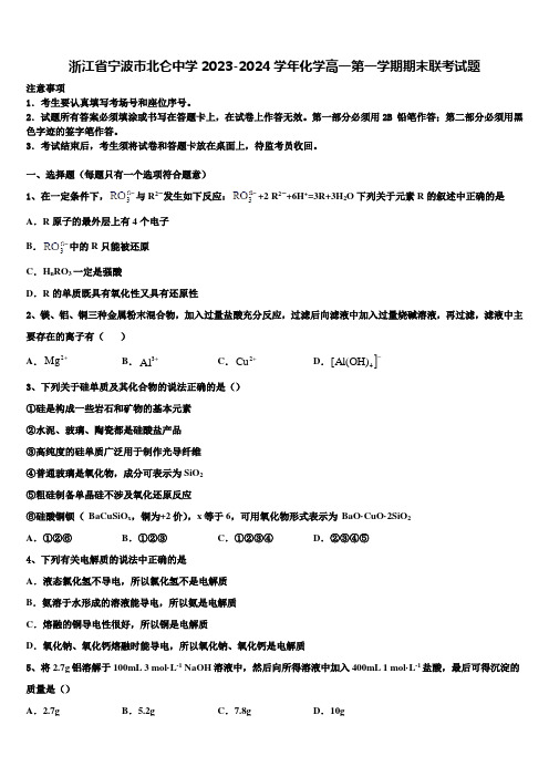 浙江省宁波市北仑中学2023-2024学年化学高一第一学期期末联考试题含解析