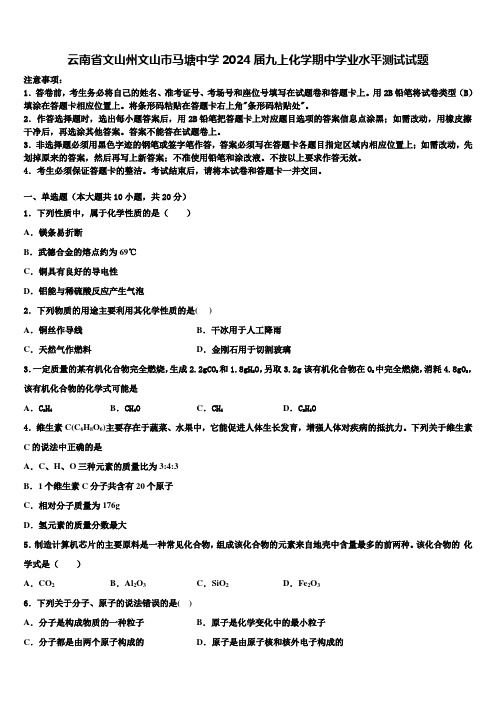 云南省文山州文山市马塘中学2024届九上化学期中学业水平测试试题含解析