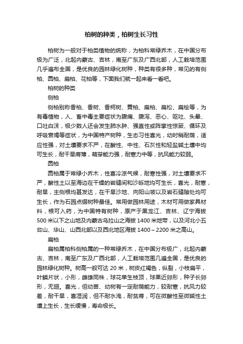 柏树的种类，柏树生长习性