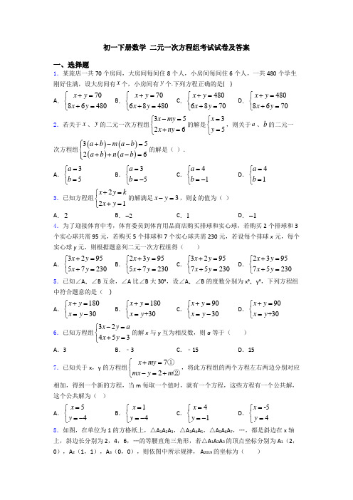 初一下册数学 二元一次方程组考试试卷及答案