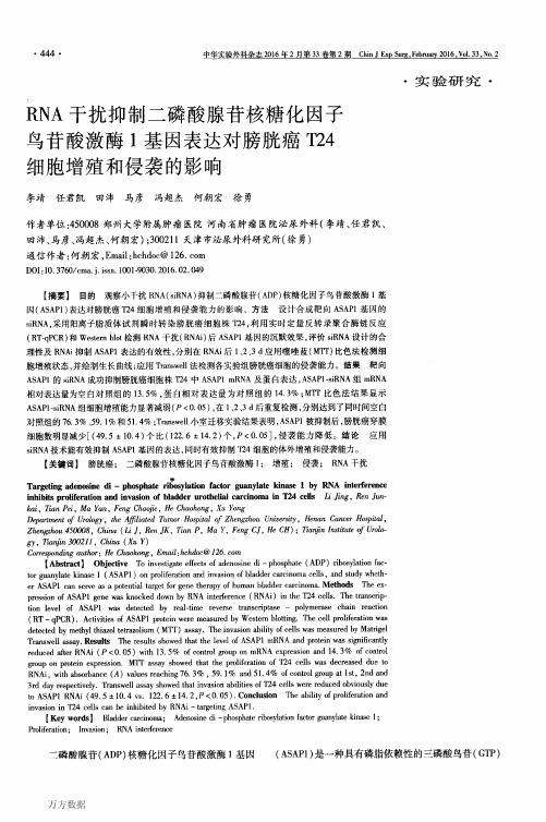 RNA干扰抑制二磷酸腺苷核糖化因子鸟苷酸激酶1基因表达对膀胱癌T24细胞增殖和侵袭的影响重点