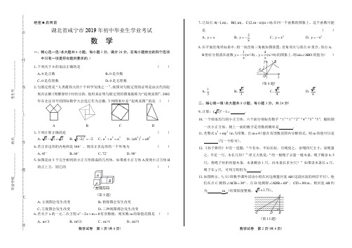 2019年湖北省咸宁中考数学试卷