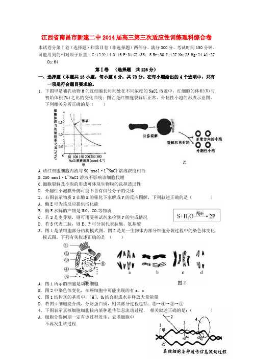 江西省南昌市新建二中高三理综第三次适应性训练试题