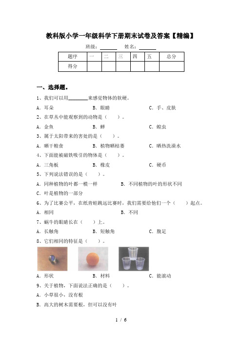 教科版小学一年级科学下册期末试卷及答案【精编】