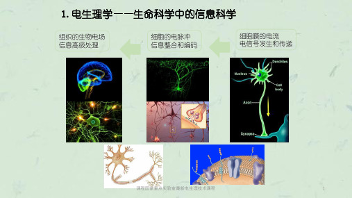 课程国家重点实验室最新电生理技术课程课件