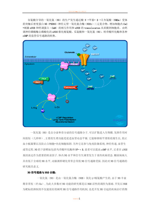 NO信号通路简介