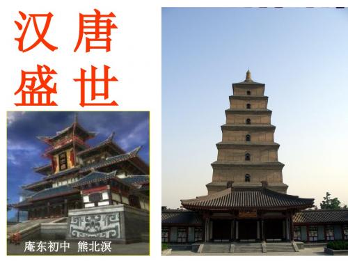 新的大一统