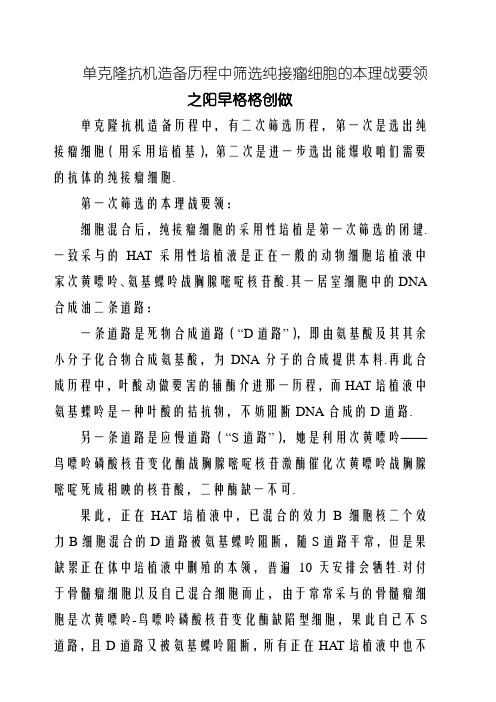 单克隆抗体制备中筛选杂交瘤细胞的原理