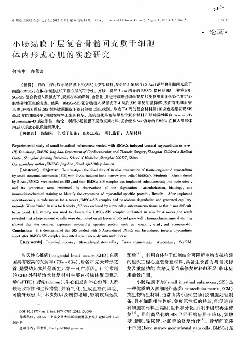 小肠黏膜下层复合骨髓间充质干细胞体内形成心肌的实验研究