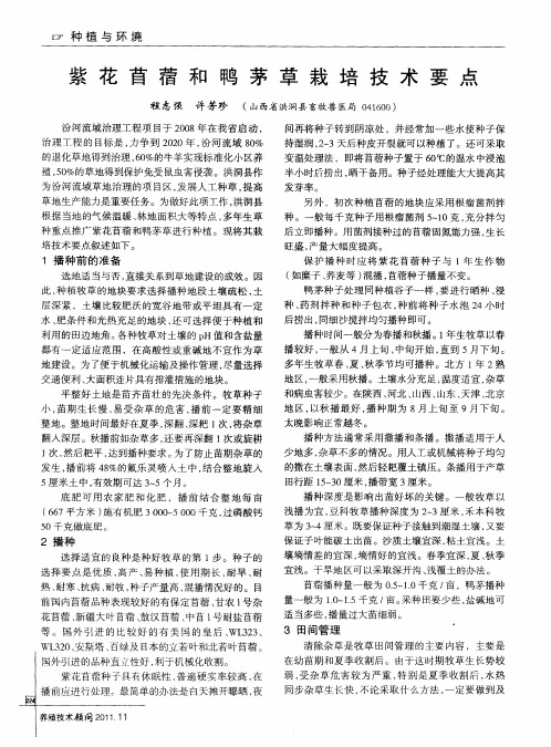 紫花苜蓿和鸭茅草栽培技术要点