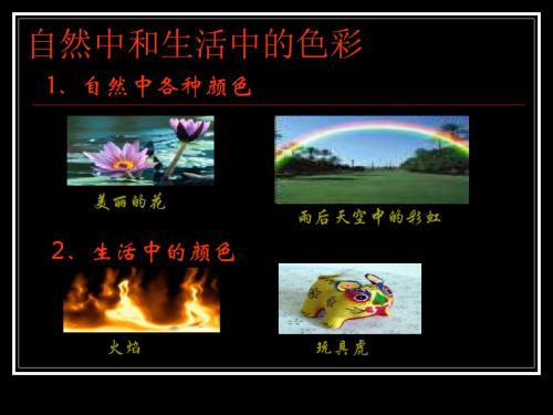 初中物理《走进彩色世界》(共10张)ppt