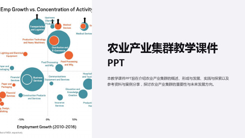 农业产业集群教学课件