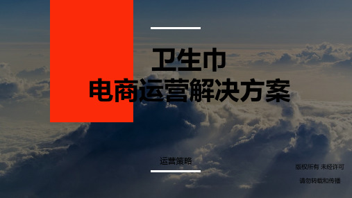 卫生巾电商运营解决方案-PPT