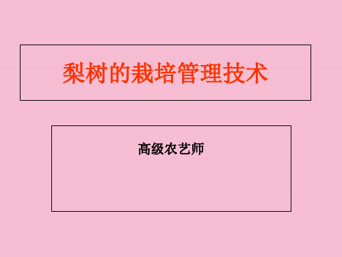 梨树栽培管技术ppt课件