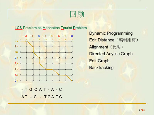 动态规划法——双序列比对(精)