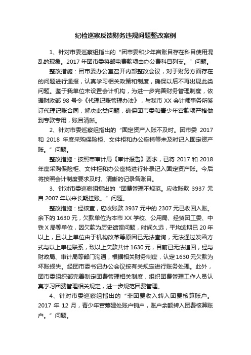 纪检巡察反馈财务违规问题整改案例