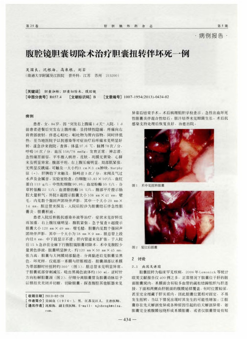 腹腔镜胆囊切除术治疗胆囊扭转伴坏死一例